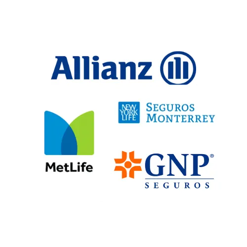 Collage de varios logotipos de marcas de seguros reconocidos a nivel Nacional.